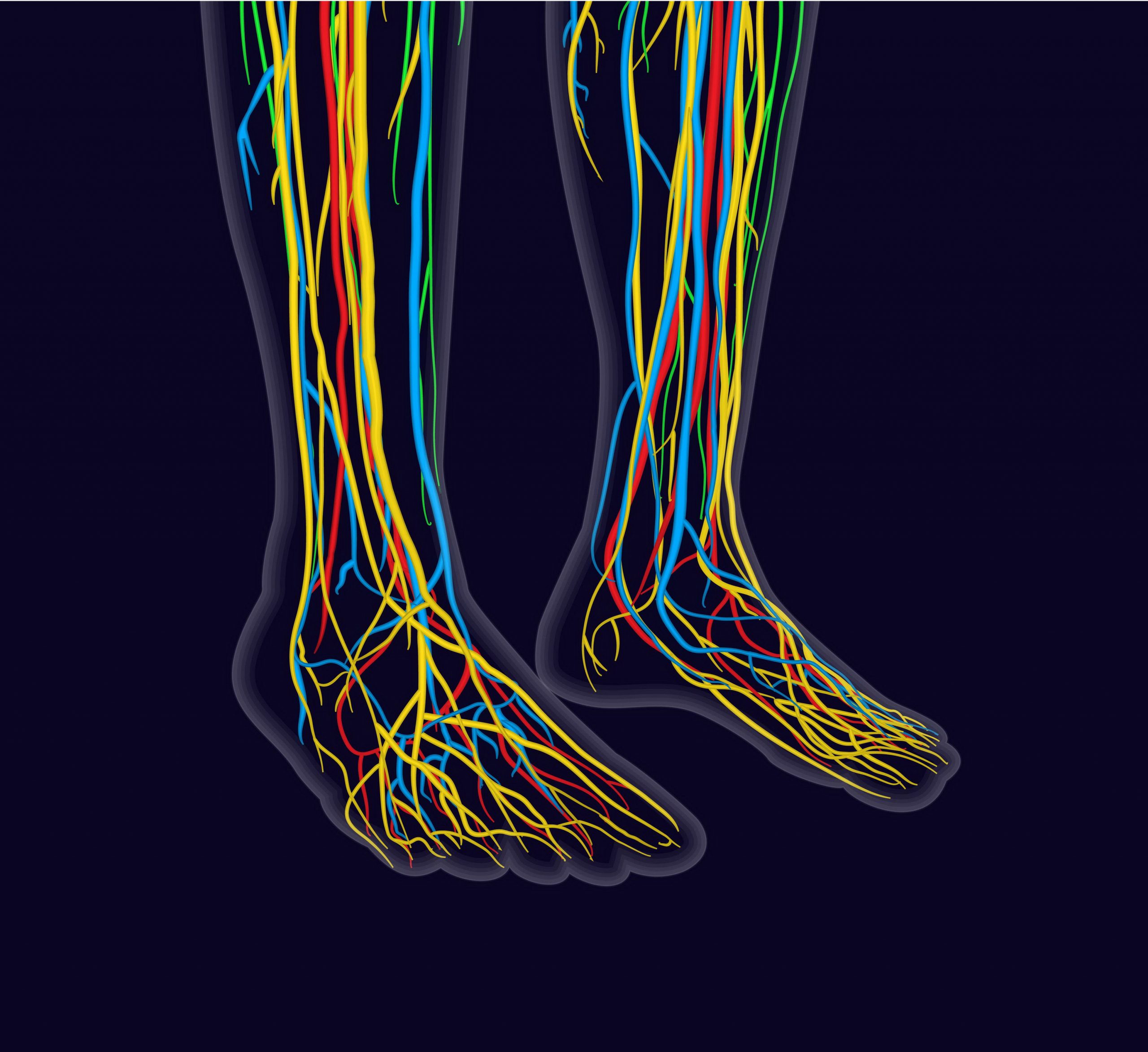 How Peripheral Neuropathy Effects the Lymphatic System